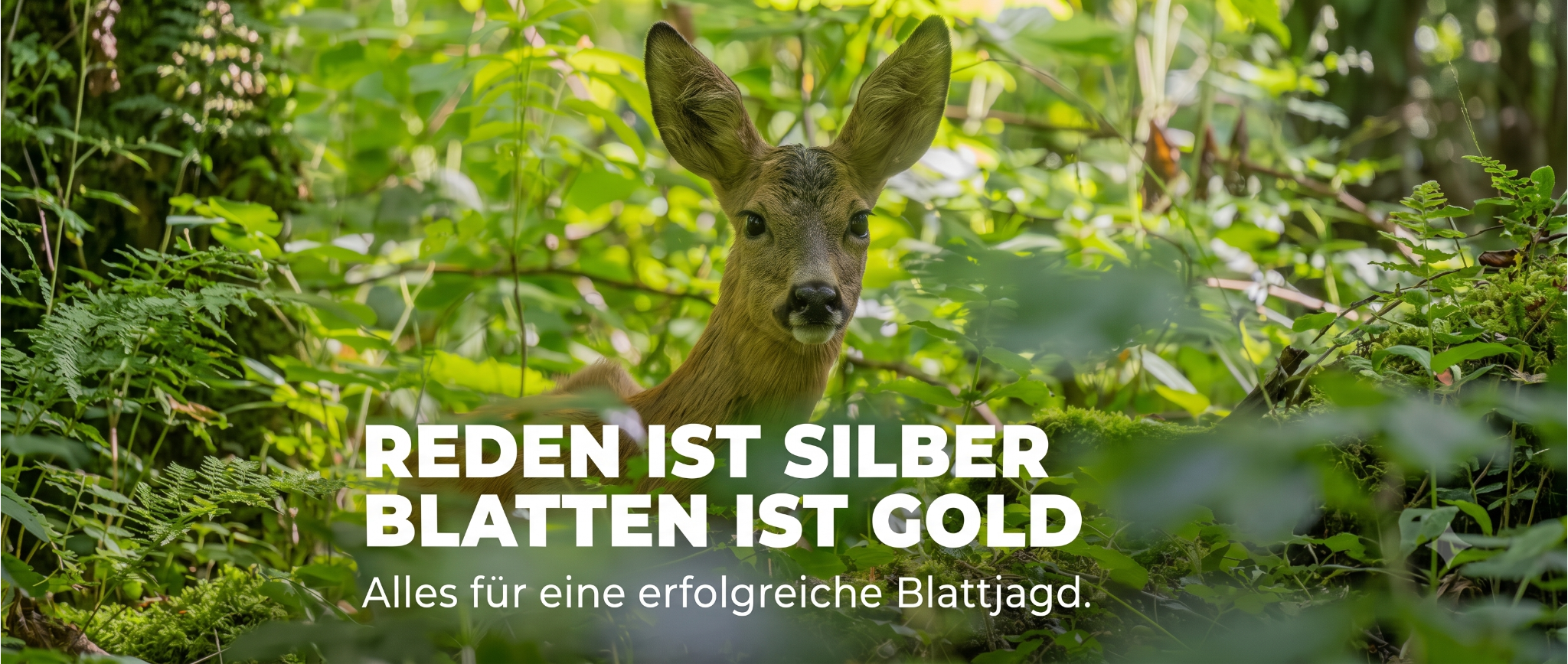 Voll Bock auf starke Angebote
