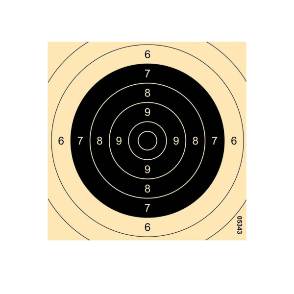 WPW Schießscheibe für Pistole 25/50 m und Gewehr 100 m – 26 × 26 cm – nummeriert