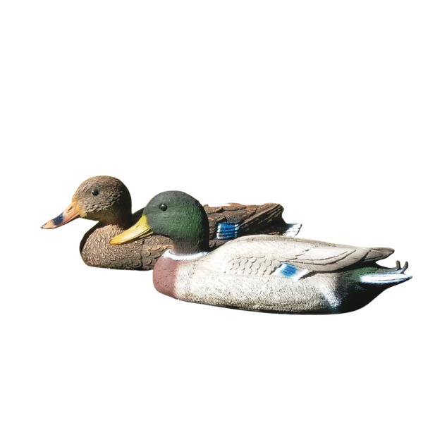 Lockvogel Ente aus Kunststoff