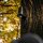 SPYPOINT CA-01 Mobilfunkantenne – 4,6 m
