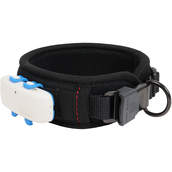 AKAH Halsung Comfort Plus aus Neopren scharz - M