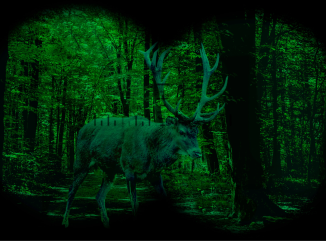 Hirsch bei der Jagd durch ein Nachtsichtgerät
