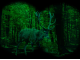 Hirsch bei der Jagd durch ein Nachtsichtgerät
