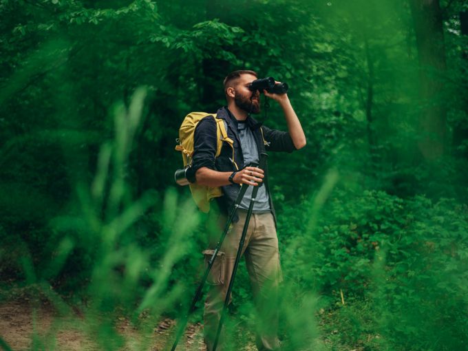 Ein Mann wandert durch den Wald und schaut durch sein binokulares Fernglas.