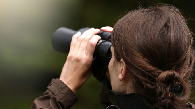 fernglas-ratgeber-bergjagd-frau-mit-fernglas