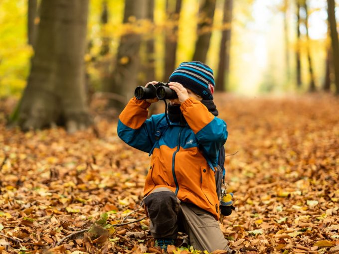 Ein Kind sitzt im Laub in einem Wald und beobachtet die Natur und die Tiere im Wald.