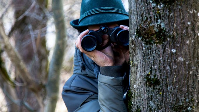 fernglas-ratgeber-naturbeobachtung-waldtiere-mann-mit-fernglas
