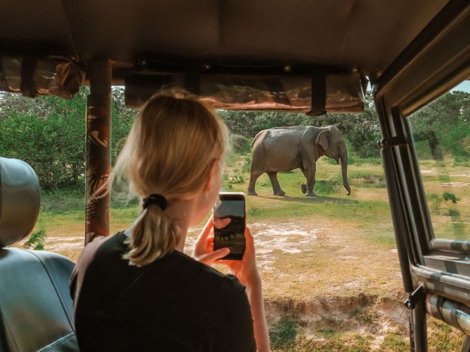 Eine Frau sitzt in einem Auto und fotografiert einen Elefanten aus sicherer Entfernung.