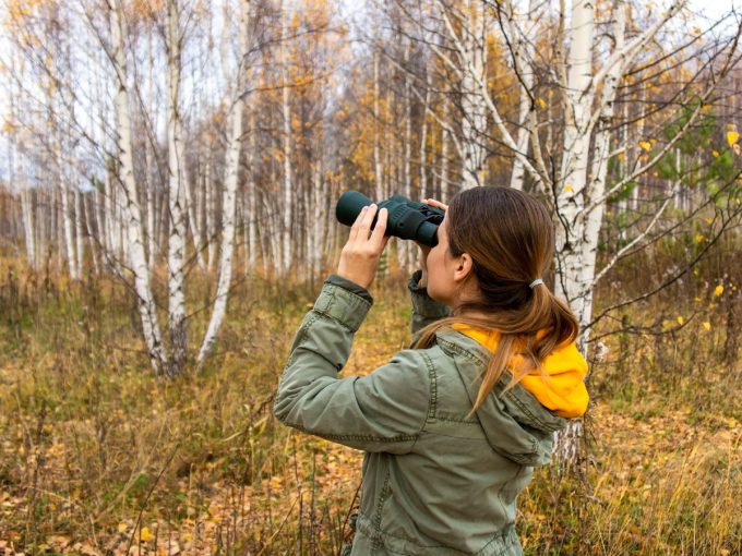Eine Frau steht in einem Wald und beobachtet mit ihrem Fernglas die Vögel. 