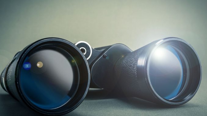 fernglas-ratgeber-transmission-fernglas