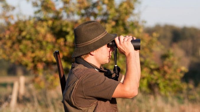 fernglas-ratgeber-treibjagd-beobachtung-mit-dem-fernglas